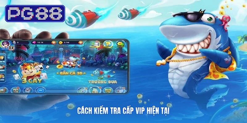 Cách Kiểm Tra Cấp VIP Hiện Tại