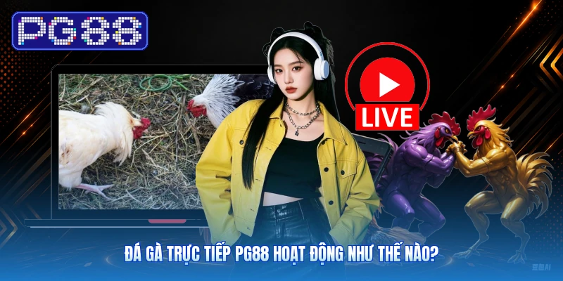 Đá Gà Trực Tiếp PG88 Hoạt Động Như Thế Nào?