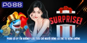 PG88 Có Uy Tín Không? Các Tiêu Chí Người Dùng Có Thể Tự Kiểm Chứng
