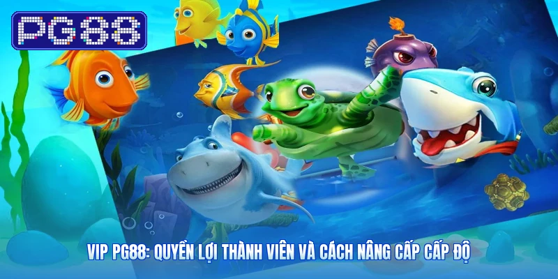 VIP PG88: Quyền Lợi Thành Viên Và Cách Nâng Cấp Cấp Độ